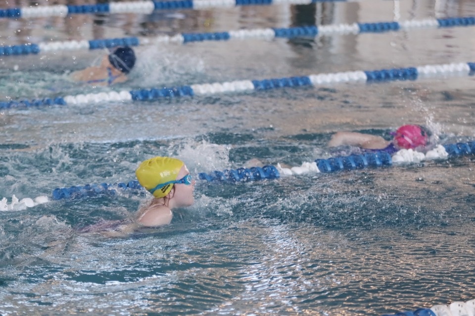 Красиво плывут!