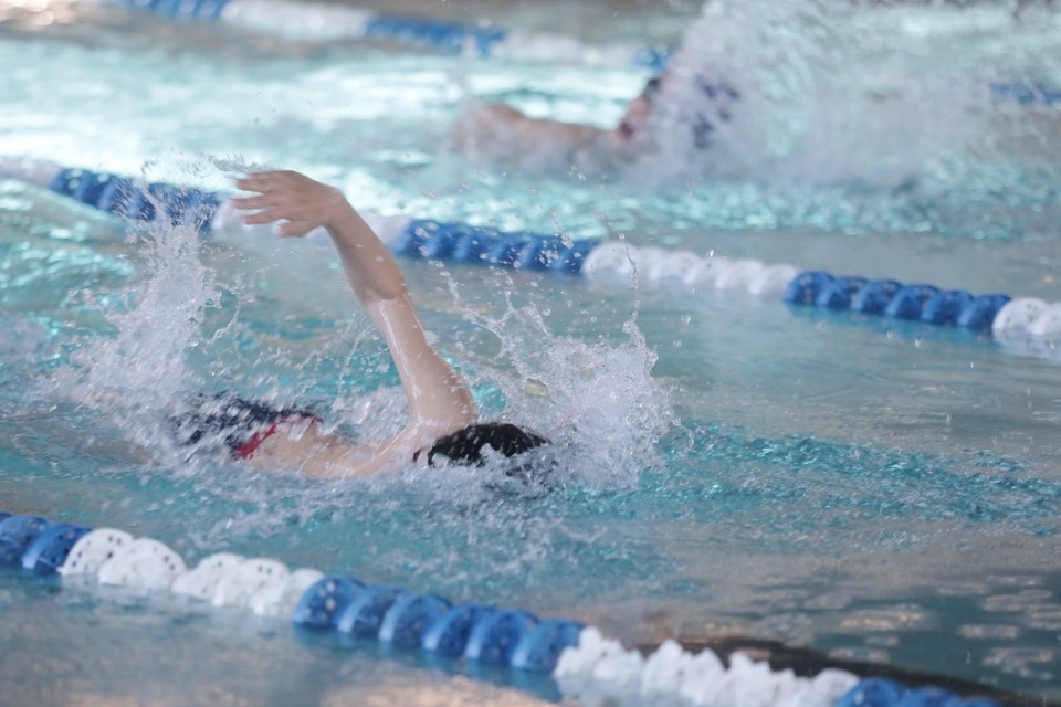 Красиво плывут!