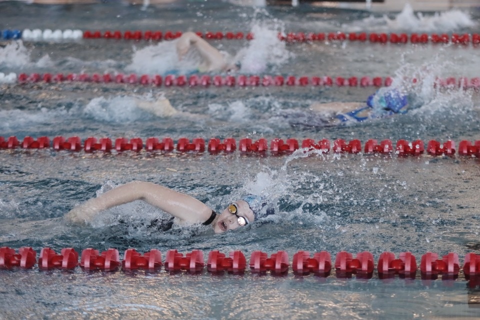 Красиво плывут!