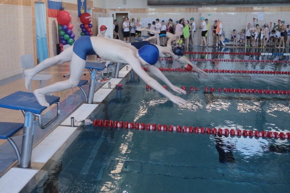 Красиво плывут!