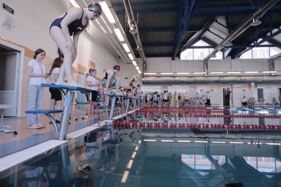 Красиво плывут!