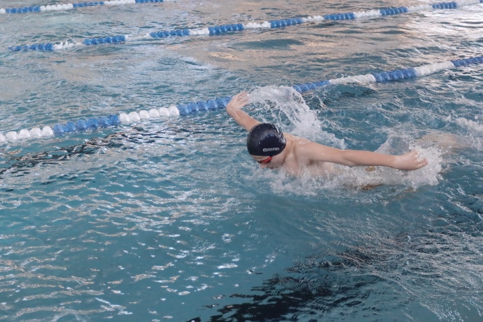 Красиво плывут!