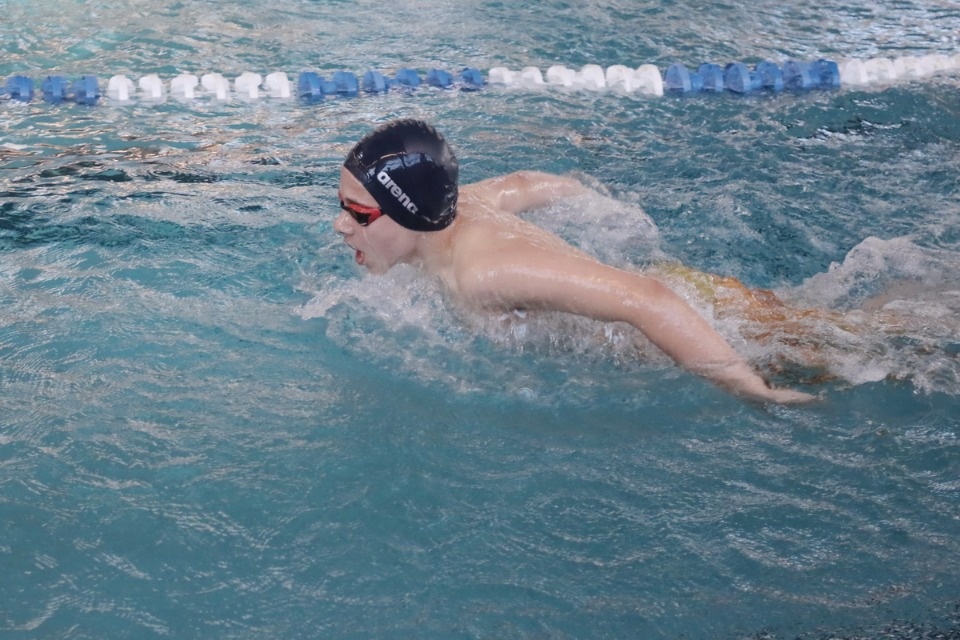 Красиво плывут!