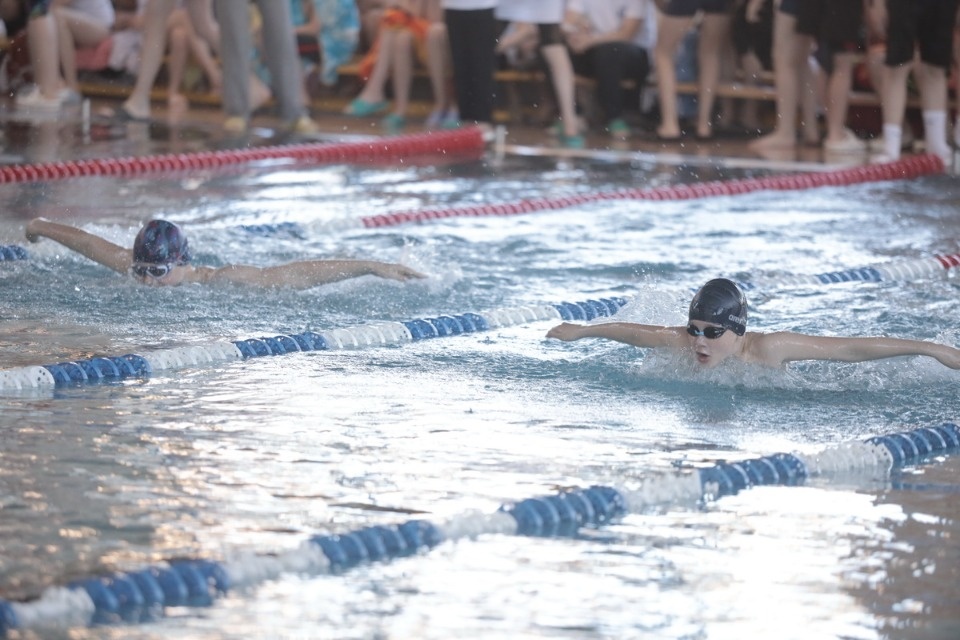 Красиво плывут!