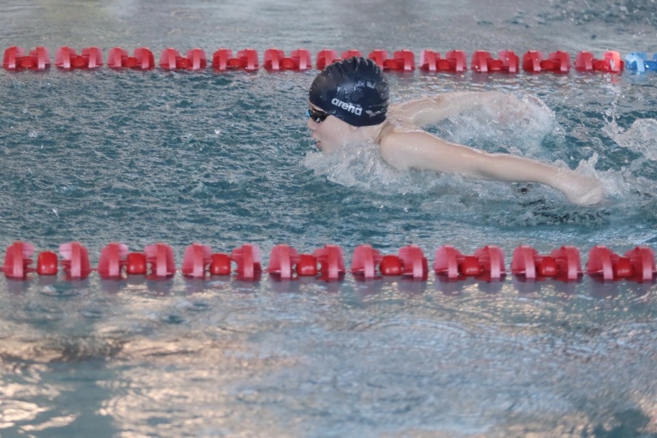 Красиво плывут!