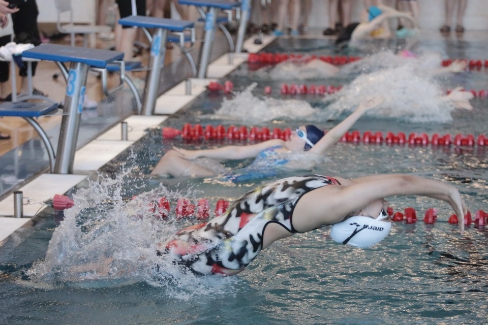 Красиво плывут!