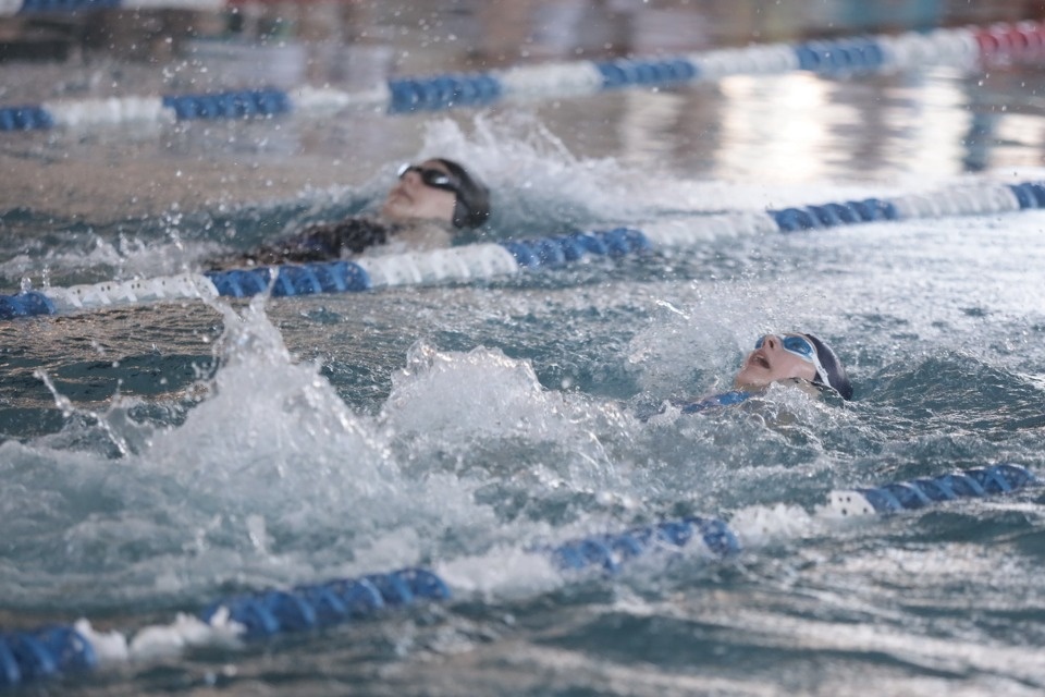 Красиво плывут!