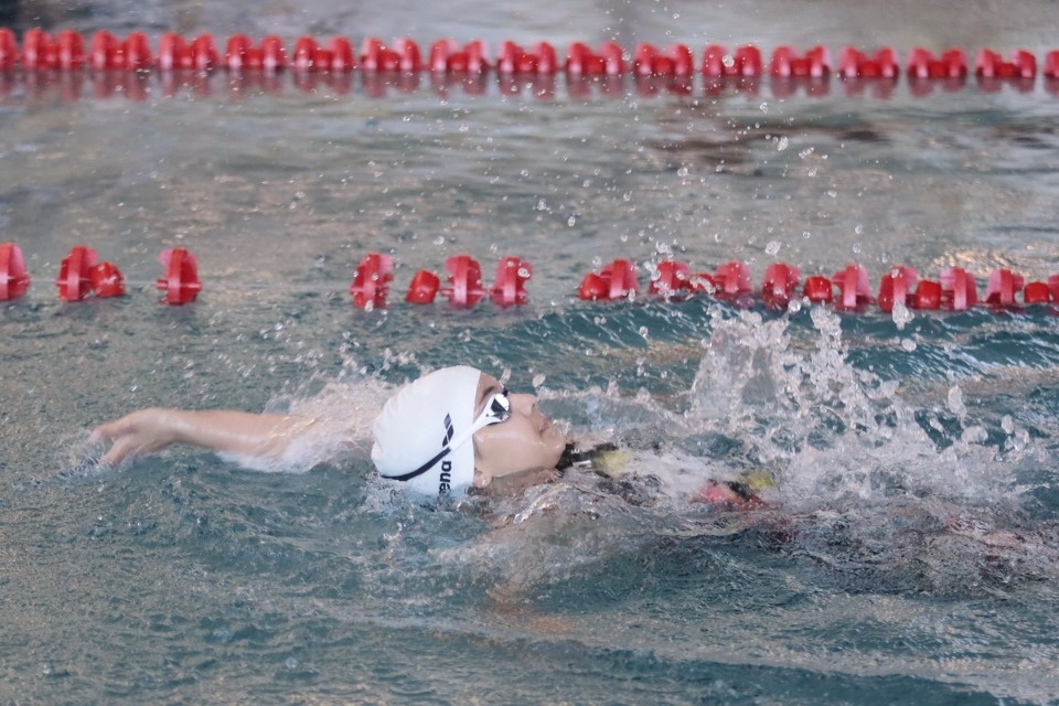 Красиво плывут!