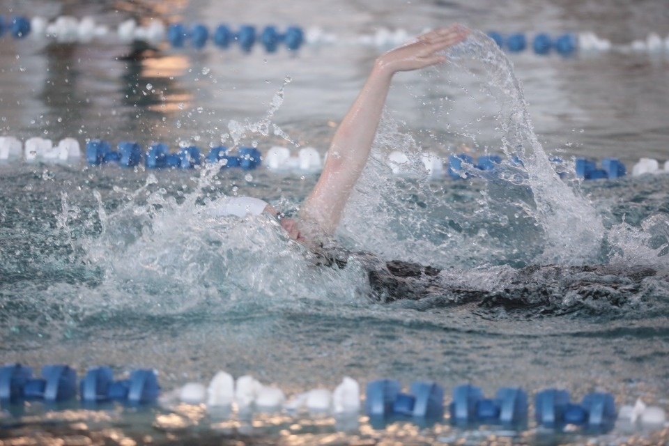 Красиво плывут!