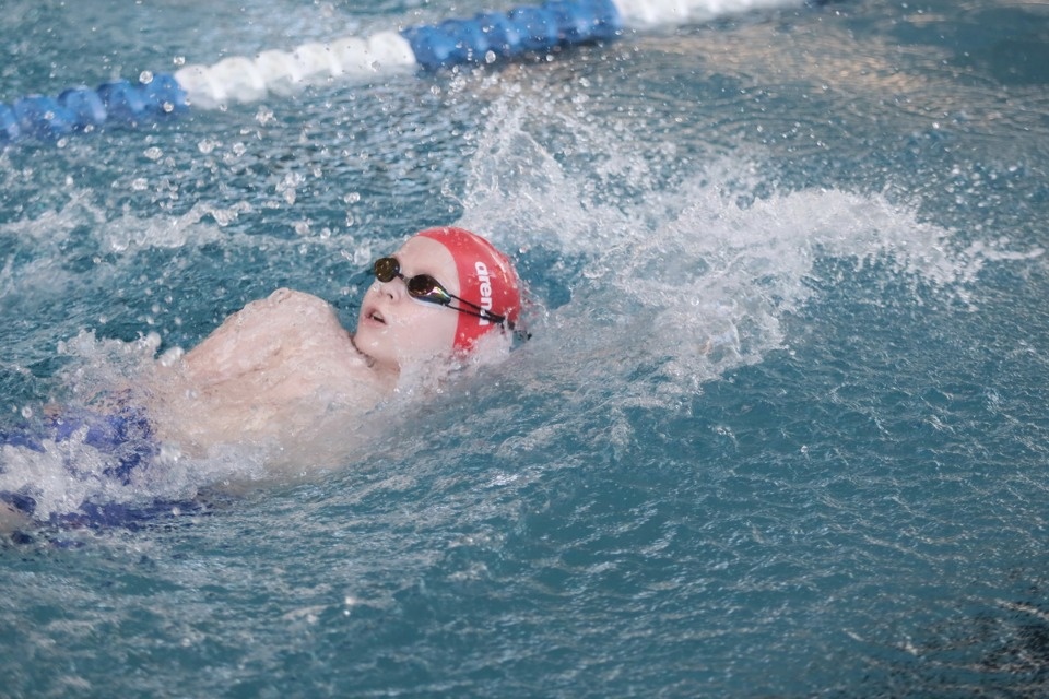 Красиво плывут!