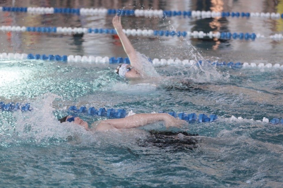 Красиво плывут!