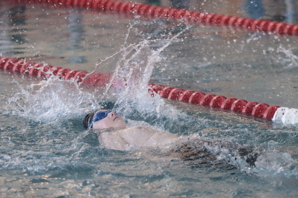 Красиво плывут!