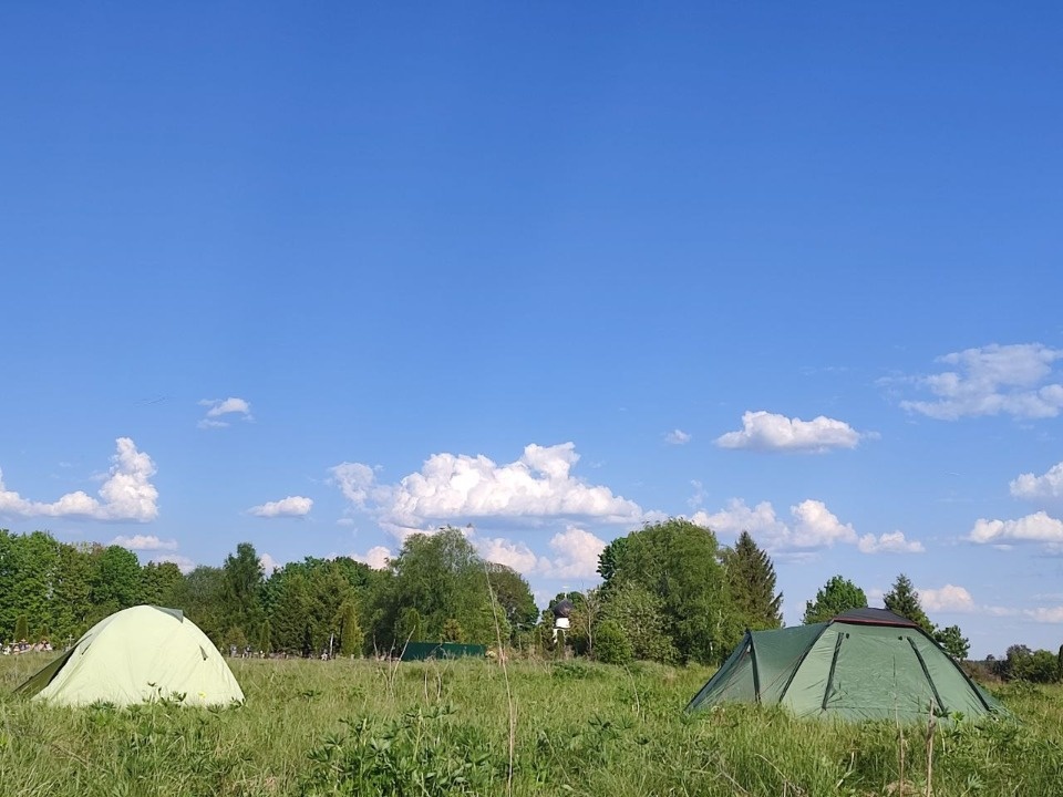 В Псковском районе стартовала археологическая экспедиция «Выбуты 2024»