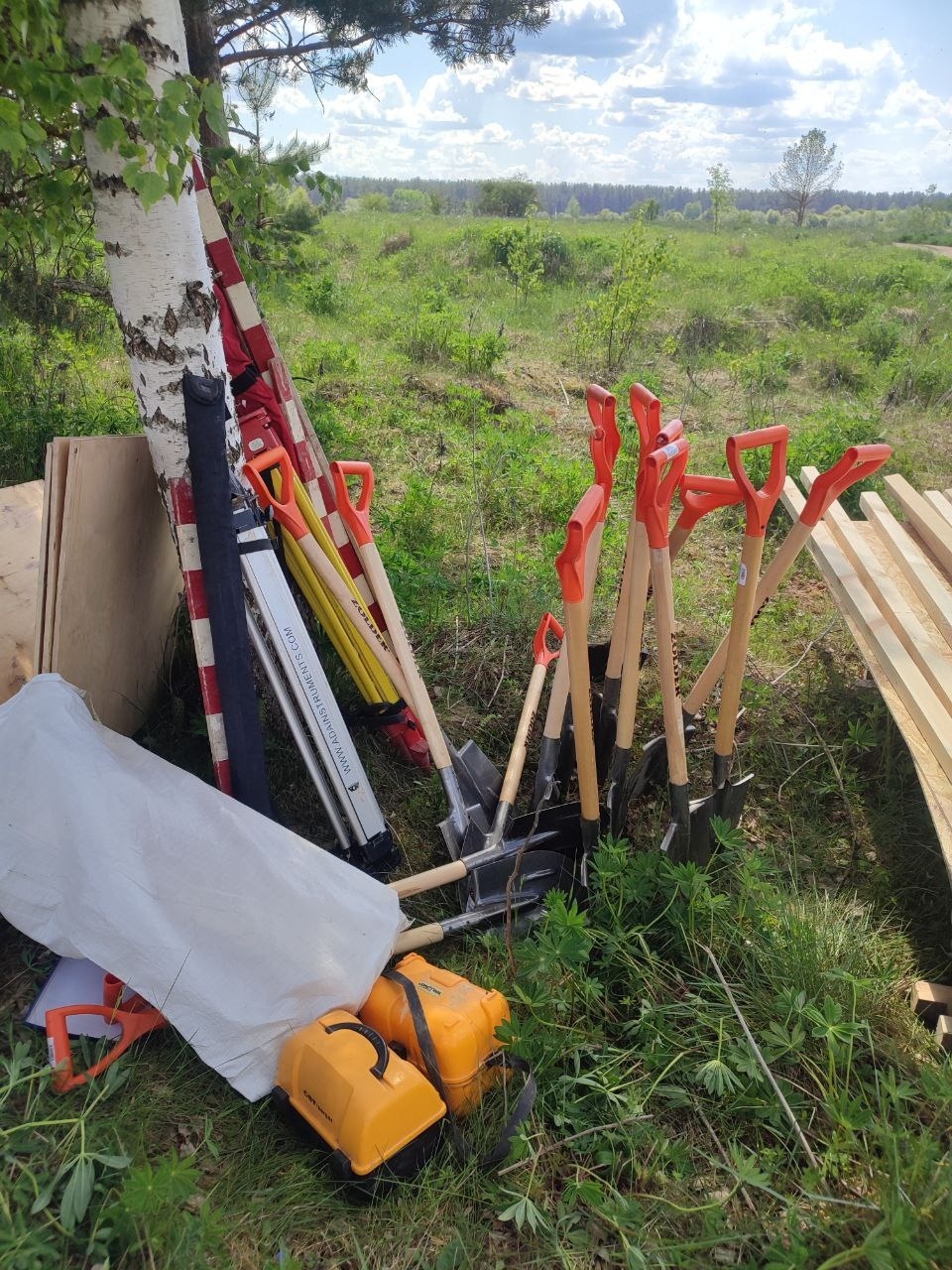 В Псковском районе стартовала археологическая экспедиция «Выбуты 2024»