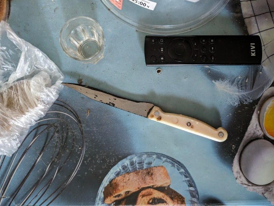 Житель Пушкиногорского района зарезал знакомого во время застолья Житель Пушкиногорского района зарезал знакомого во время застолья