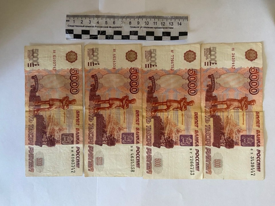 Водитель грузовика пытался дать взятку псковскому таможеннику Водитель грузовика пытался дать взятку псковскому таможеннику