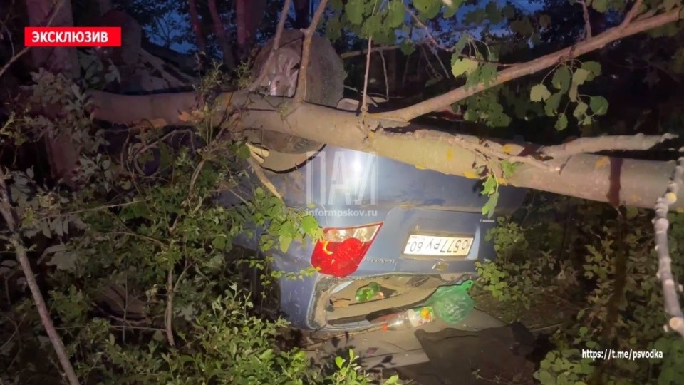  Пьяный водитель вылетел в кювет и оказался зажат в автомобиле в Псковском районе 