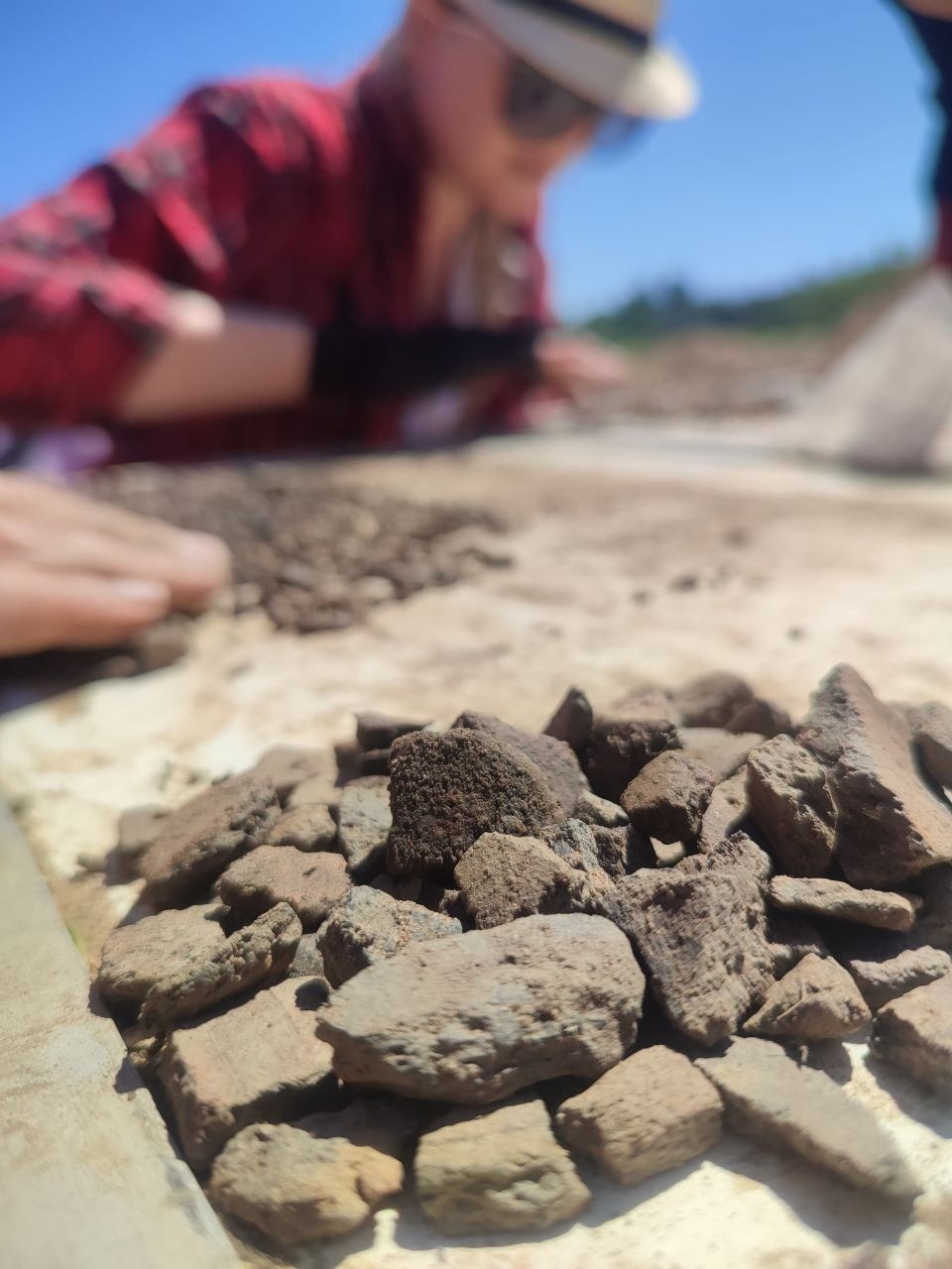 В Выбутах пройдет «Археология выходного дня»