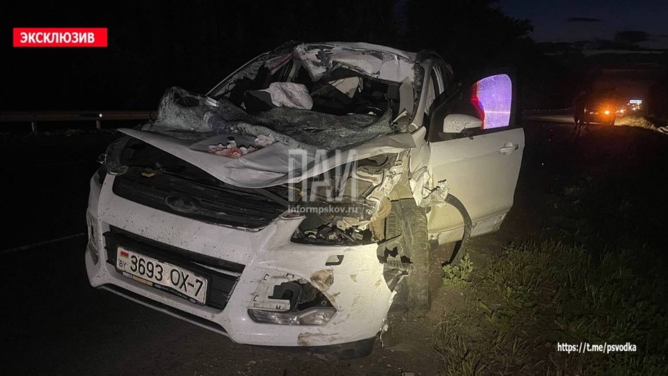 В Псковском районе из-за лося столкнулись две машины В Псковском районе из-за лося столкнулись две машины