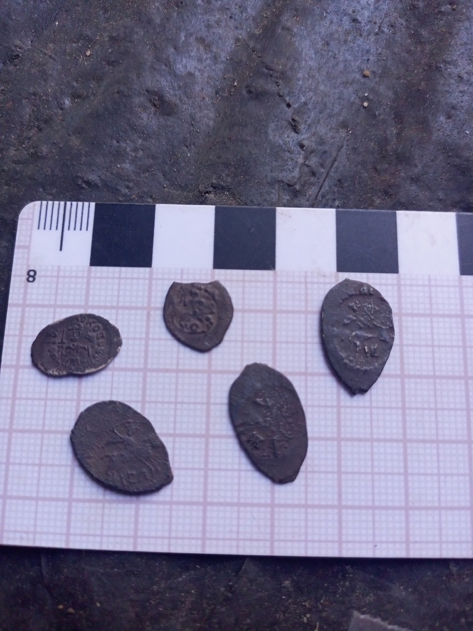 В Пскове нашли клад серебряных монет В Пскове нашли клад серебряных монет