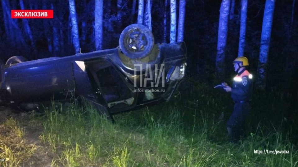 Два человека пострадали при столкновении с лосем в Гдовском районе Два человека пострадали при столкновении с лосем в Гдовском районе