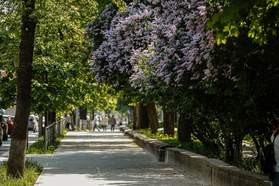 До +28 градусов и кратковременные дожди прогнозируются в Псковской области 2 июня