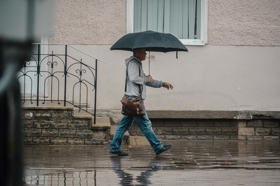 До +26 градусов прогреется воздух в Псковской области 3 июня