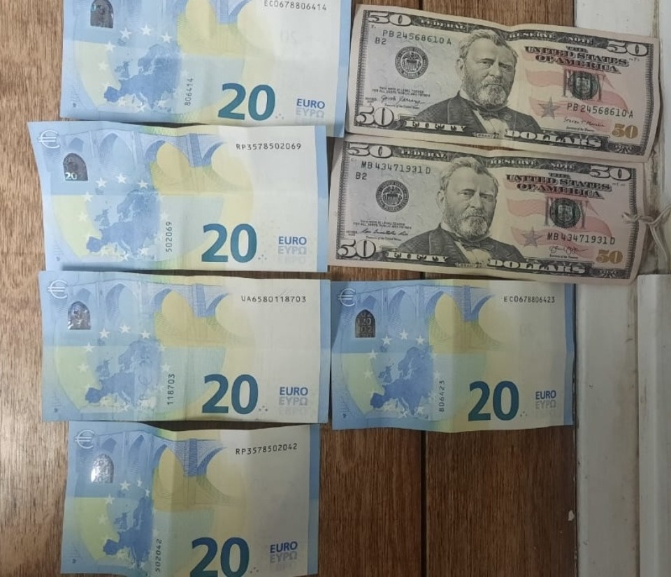 Немец пытался дать взятку псковскому таможеннику за провоз одежды и ковров в Россию Немец пытался дать взятку псковскому таможеннику за провоз одежды и ковров в Россию