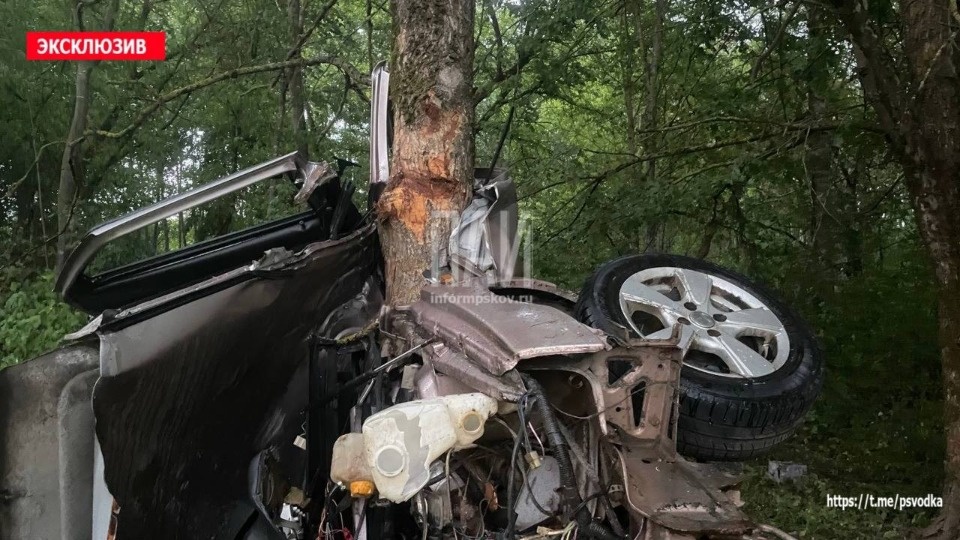 Парень и девушка погибли в разорванной деревом машине в Псковском районе Парень и девушка погибли в разорванной деревом машине в Псковском районе