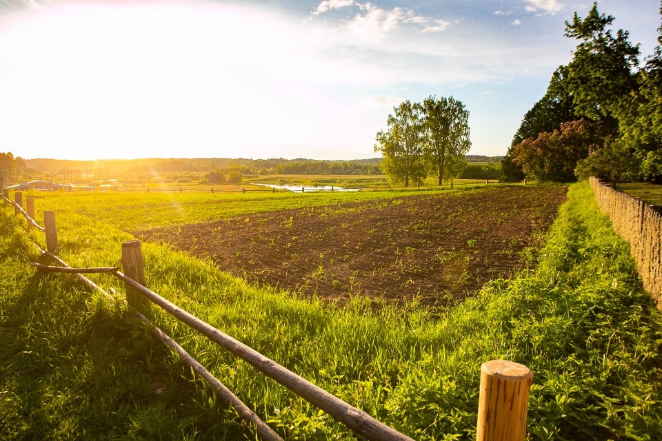 До +26 градусов прогнозируется в Псковской области 6 июня