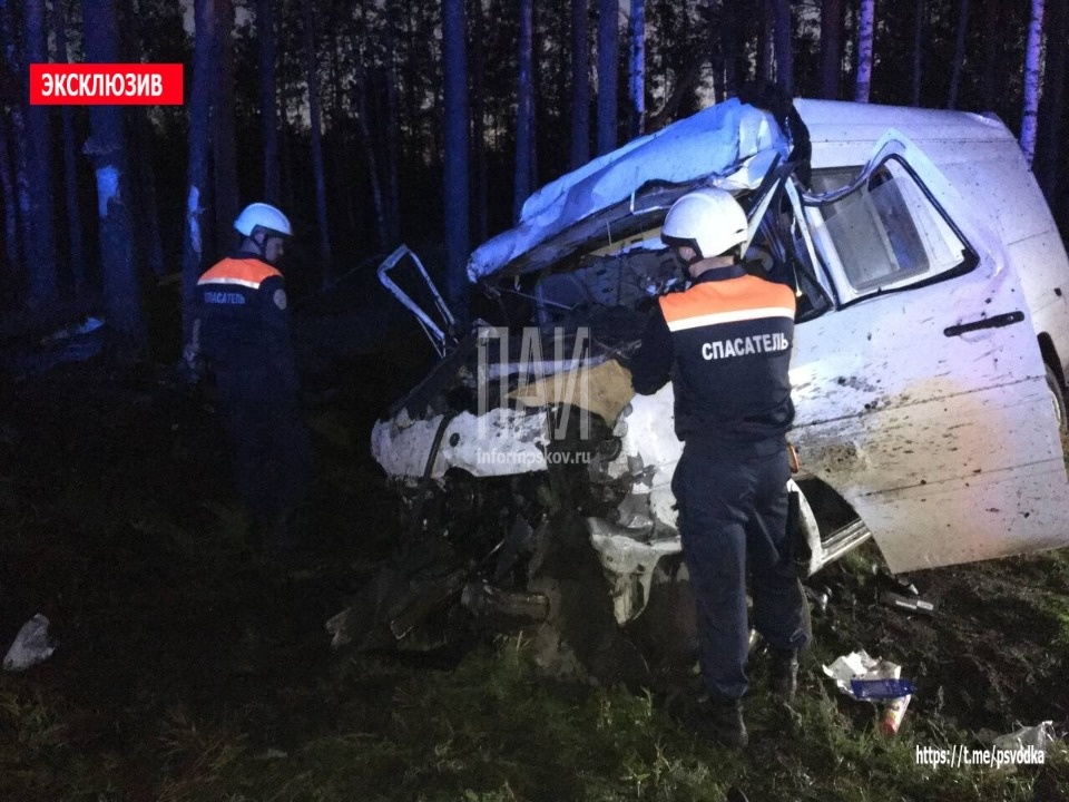 Водителя микроавтобуса госпитализировали в результате ДТП с лосем под Псковом Водителя микроавтобуса госпитализировали в результате ДТП с лосем под Псковом