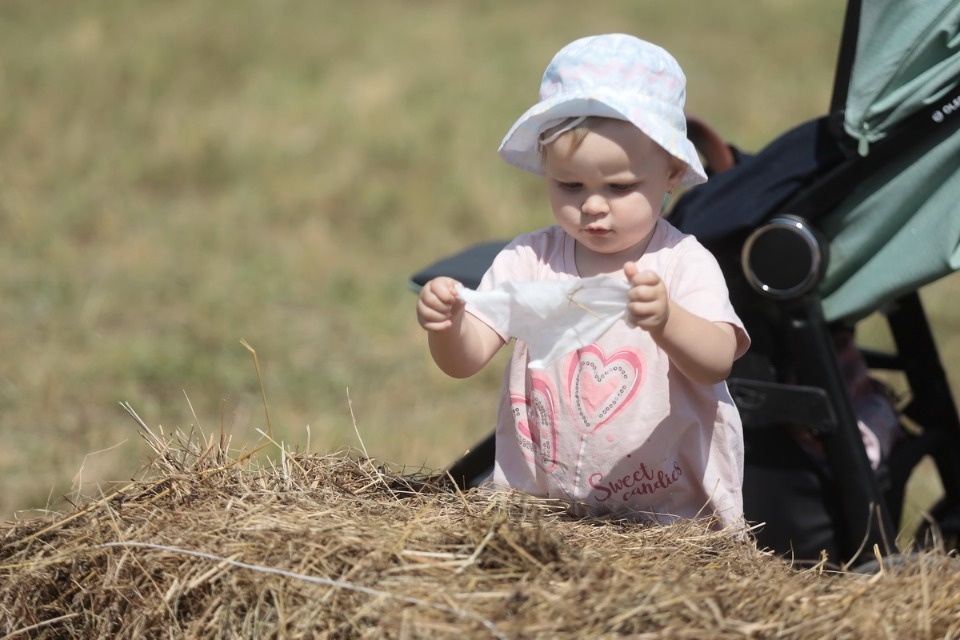 Наше всё Наше всё