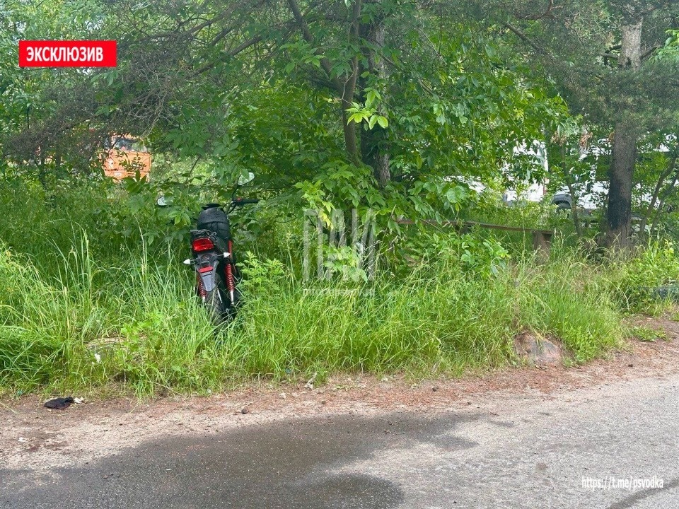 Мотоциклист пострадал в аварии в Великолукском районе Мотоциклист пострадал в аварии в Великолукском районе