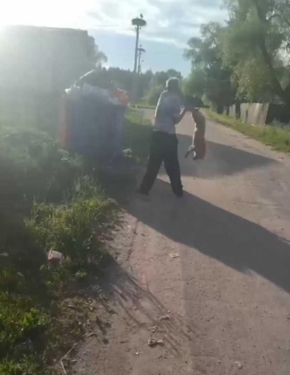 Собаку жестоко избили в Порховском районе Собаку жестоко избили в Порховском районе