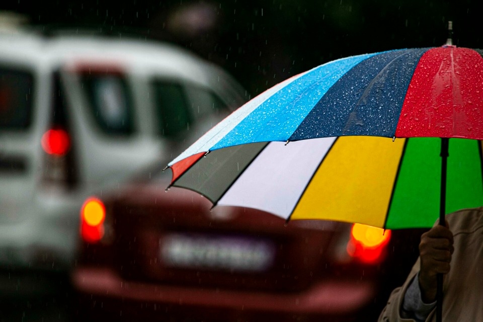 До +26 градусов и ливни прогнозируются в Псковской области 17 июня