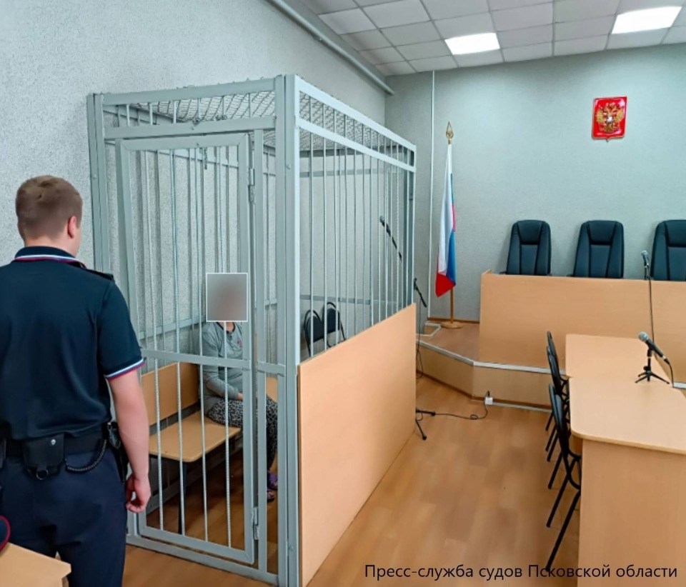 Мать и дочь, убивших двух женщин в Псковской области, заключили под стражу