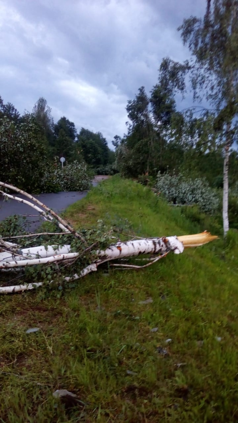 Нарушения электроснабжения после торнадо зафиксированы в 39 населенных пунктах Невельского района