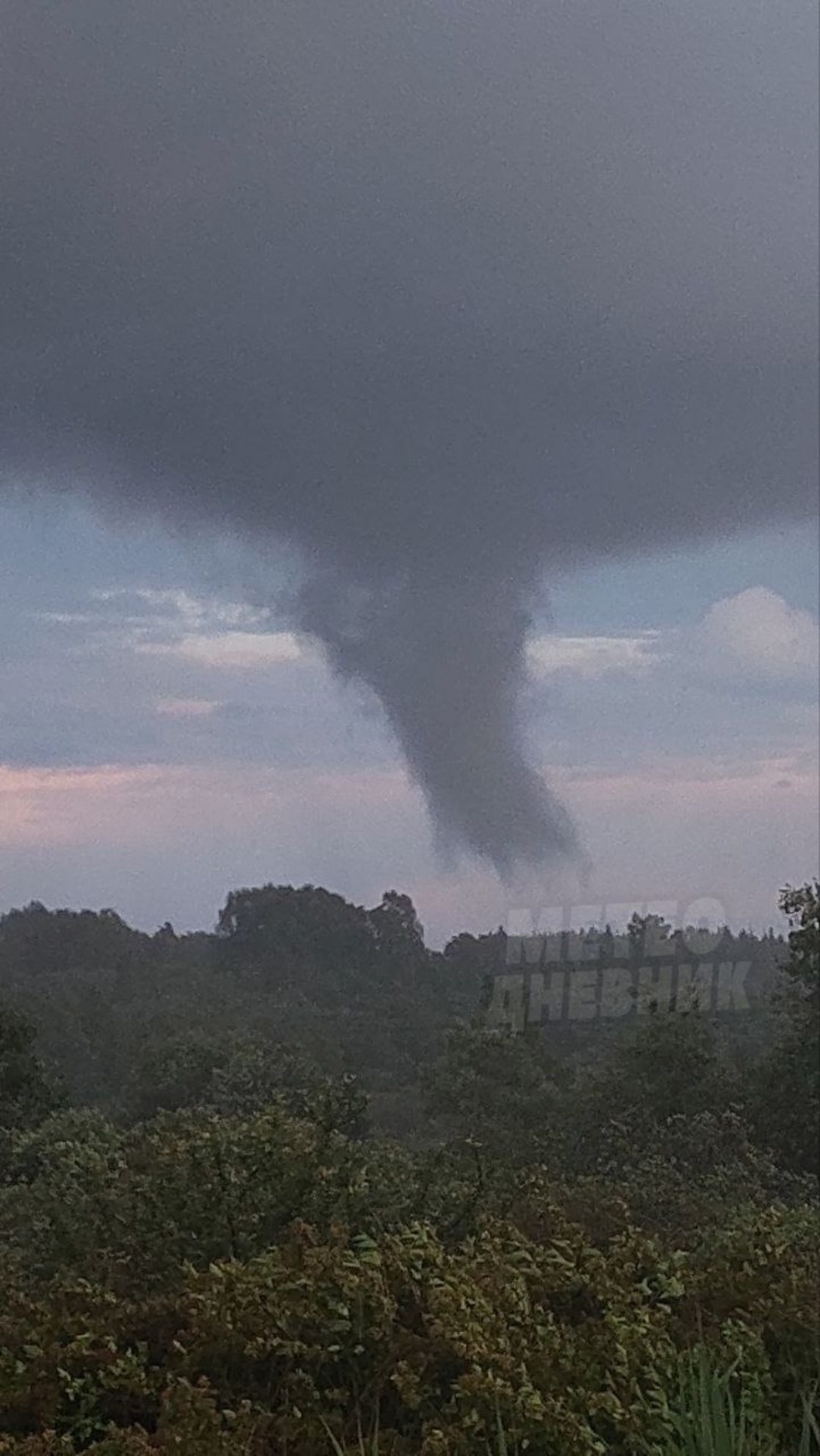 Начальник Псковского гидрометцентра о торнадо на юге области: Ни одна метеостанция его не зафиксировала