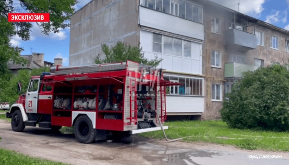 В Острове пожарные спасли из горящей квартиры двух котов В Острове пожарные спасли из горящей квартиры двух котов
