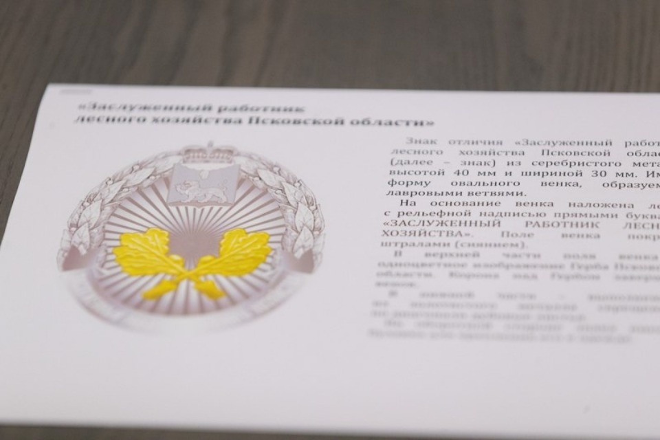 В Псковской области утвердили эскизы четырех региональных наград