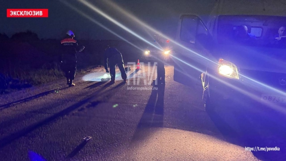 Водитель сбил пешехода насмерть и скрылся с места ДТП в Псковском районе Водитель сбил пешехода насмерть и скрылся с места ДТП в Псковском районе