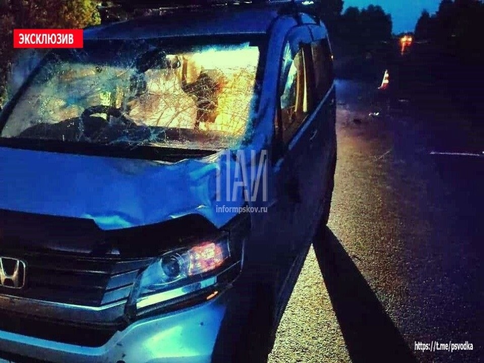 В Бежаницком районе насмерть сбили лося В Бежаницком районе насмерть сбили лося