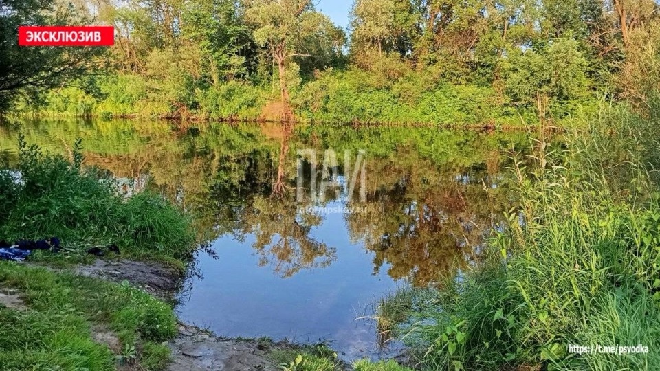 Подросток утонул в Порховском районе Подросток утонул в Порховском районе