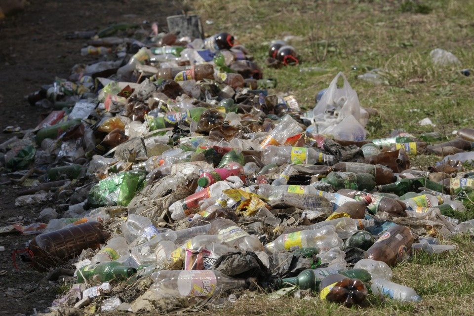 Еще 700 тонн мусора вывезли в Псковской области 