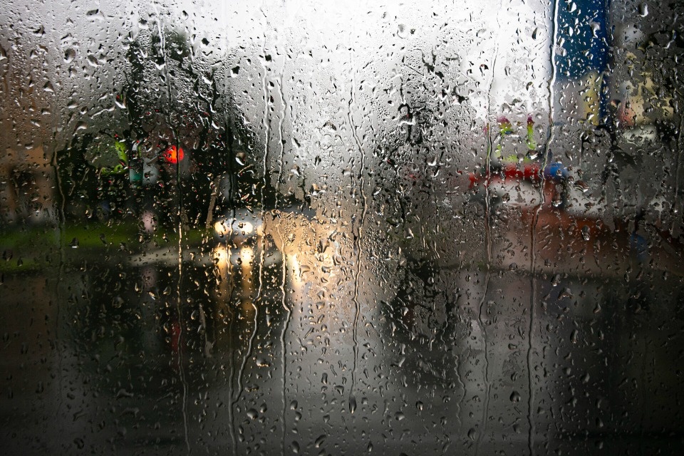 Грозы и ливни прогнозируют в Псковской области 4 июля 