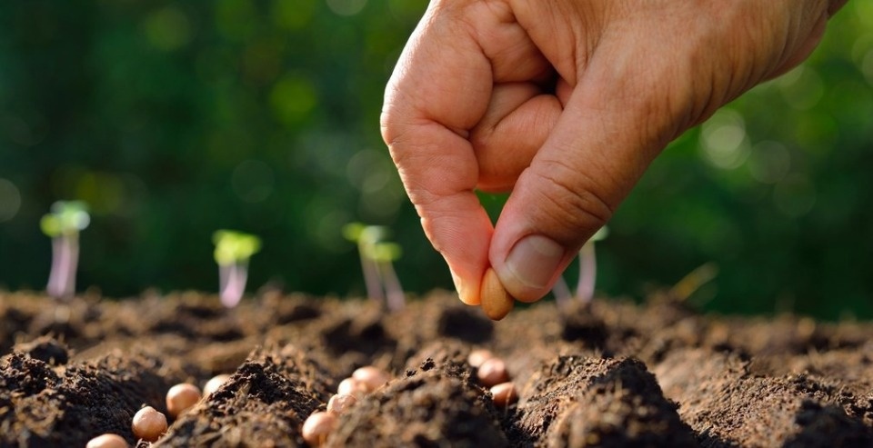 РСХБ увеличил доходность по накопительным счетам до 18%