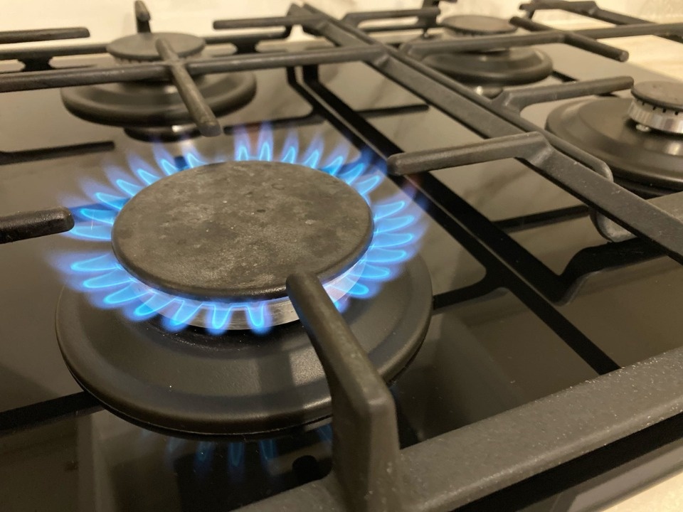 Псковские газовики за полгода провели проверки  в 26 тысячах квартирах и домовладениях