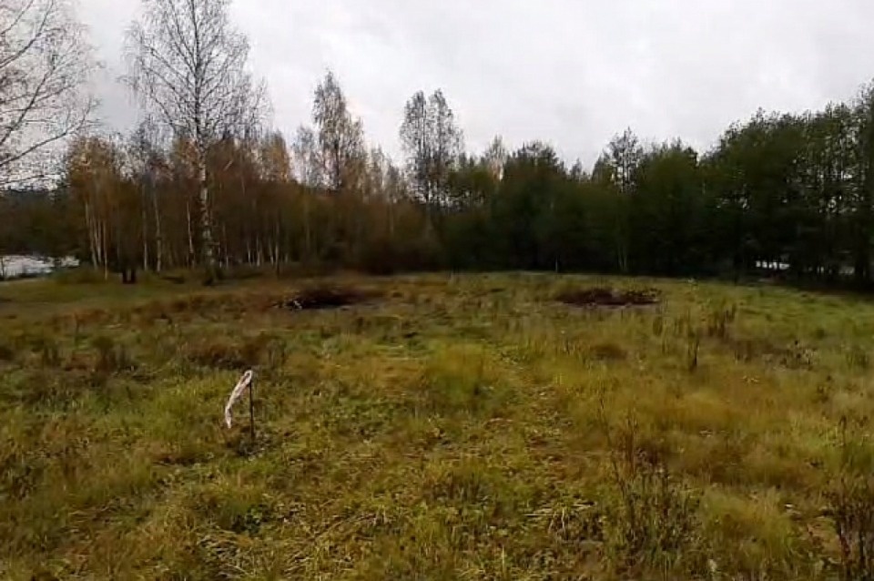 Александр Бастрыкин поручил проверить законность застройки мыса в Плюсском районе