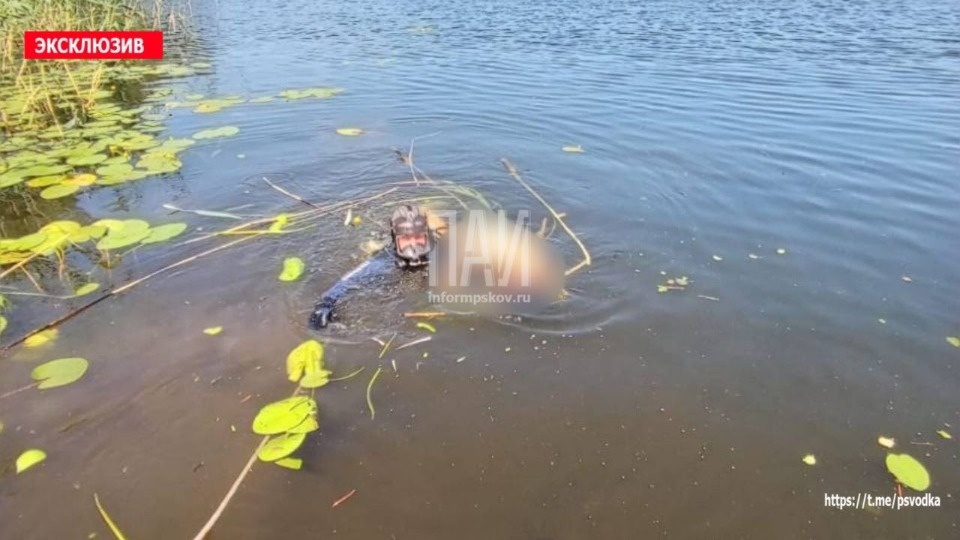 Тело 62-летней женщины нашли в озере Алё в Бежаницком районе Тело 62-летней женщины нашли в озере Алё в Бежаницком районе