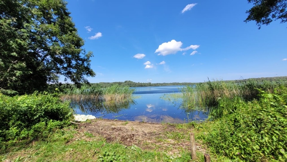 Следователи проводят проверку по сообщению о гибели женщины в озере в Бежаницком районе 